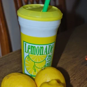 Fresh Squeezed Lemonade Shake-Ups
